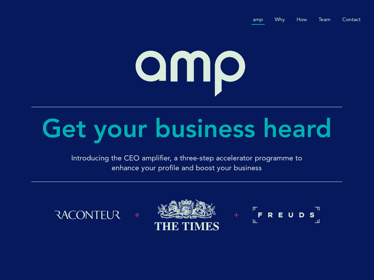 Screenshot of CEO amp