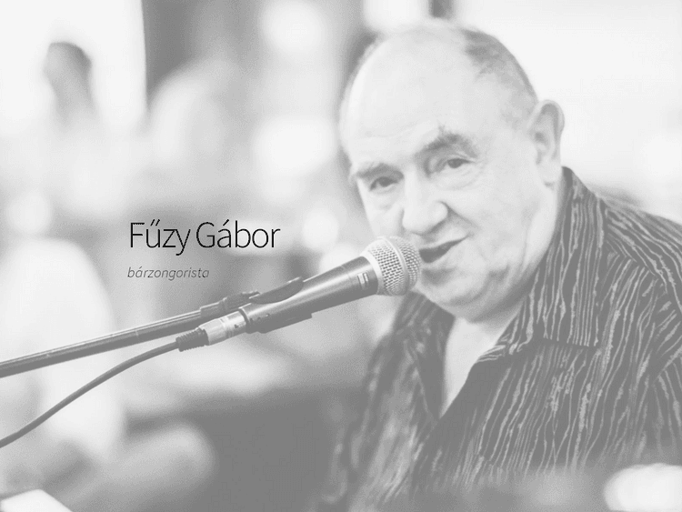 Screenshot of Gábor Fűzy pianist