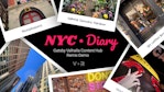 NYC Diary