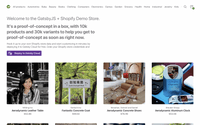 Build A Shopify Website