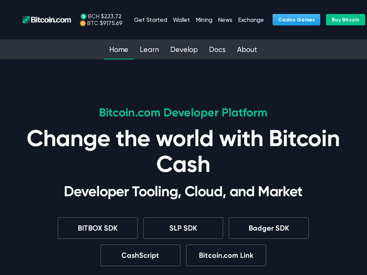 Screenshot of developer.bitcoin.com