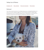 Home page of the new site about my dog