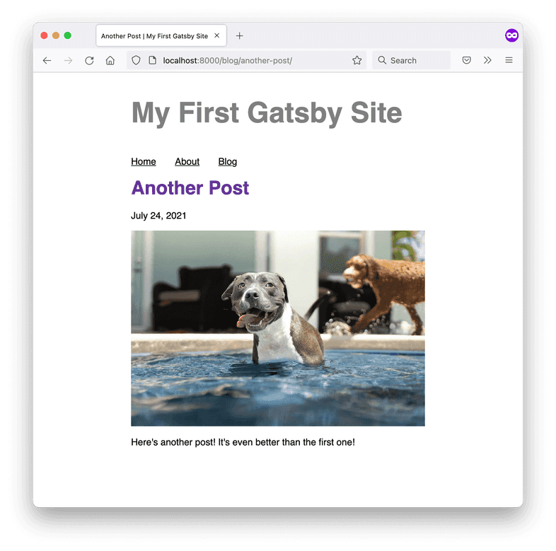 A screenshot of the Another Post blog page, with a hero image of a gray and white pitbull in a swimming pool.