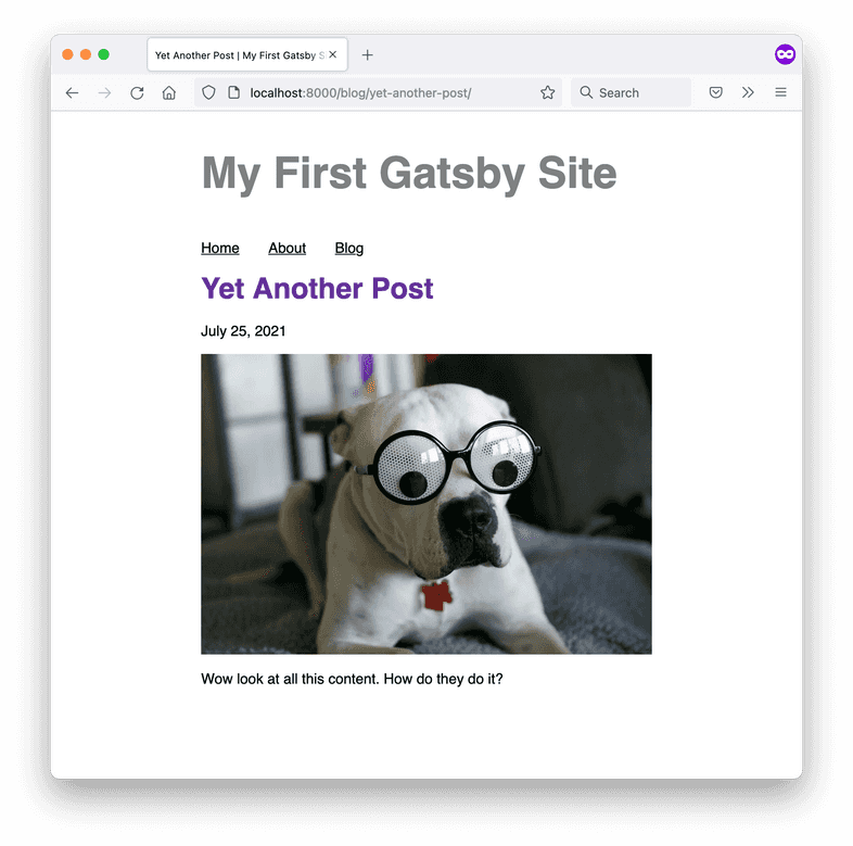 A screenshot of the Yet Another Post blog page, with a hero image of a dog wearing googly-eye glasses.