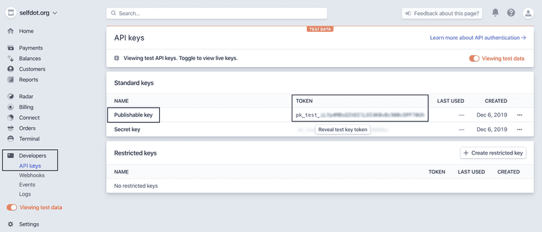 Stripe public test key location in Stripe account